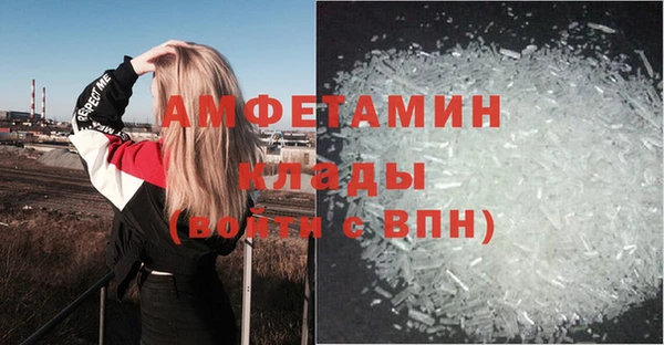 хмурый Алзамай